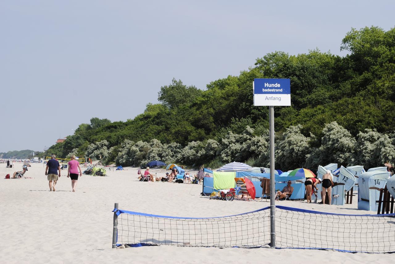 Fewo Schwalbennest Am Meer-Exklusiv-Eigener Strandzugang Кюлунгсборн Экстерьер фото